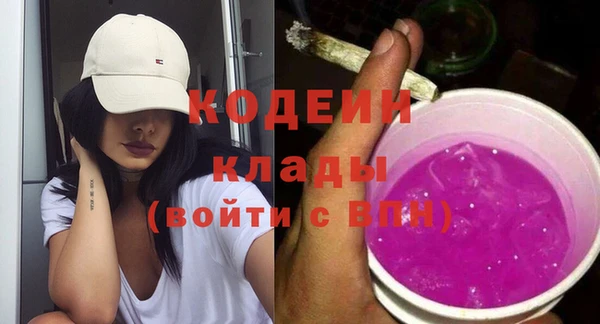 мет Ельня