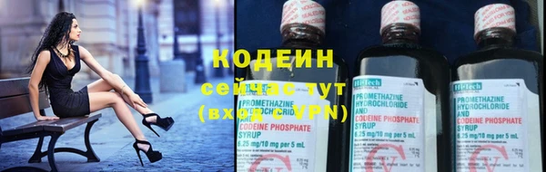 мет Ельня