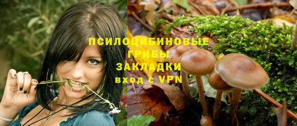 мет Ельня