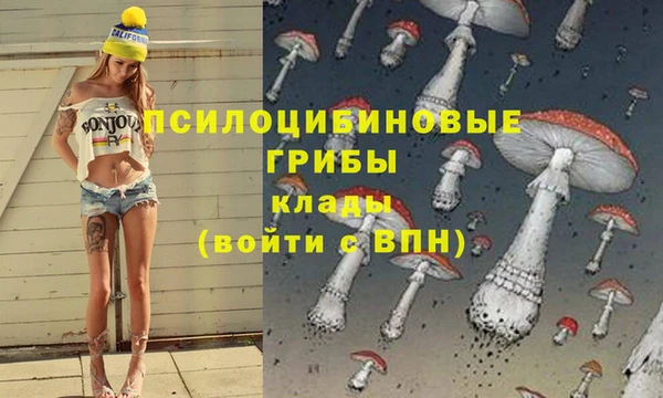 альфа пвп Елабуга