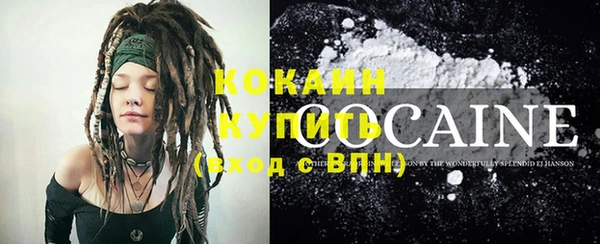 мет Ельня
