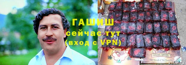 мет Ельня