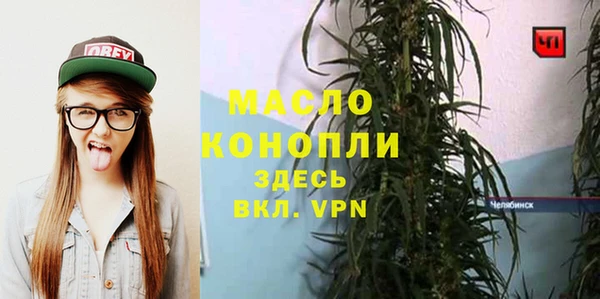 мет Ельня