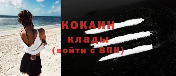 мет Ельня