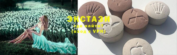 мет Ельня